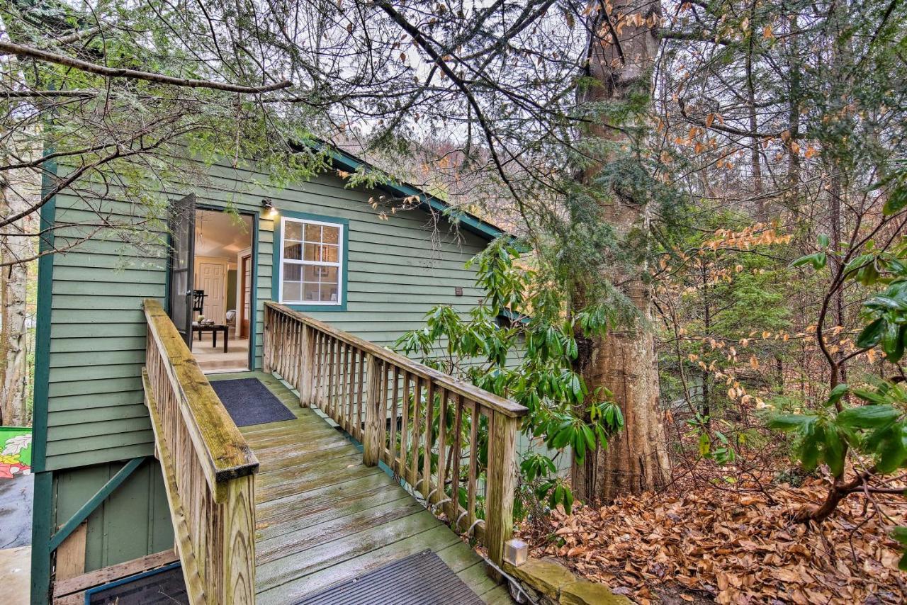 Appalachian Mountain Retreat 6 Mi To Asheville! Luaran gambar